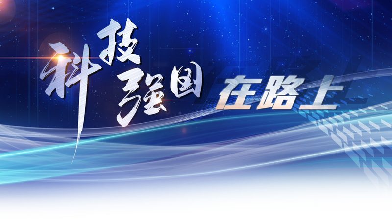 SAP与Oracle供应链软件：性能与架构的深度解析